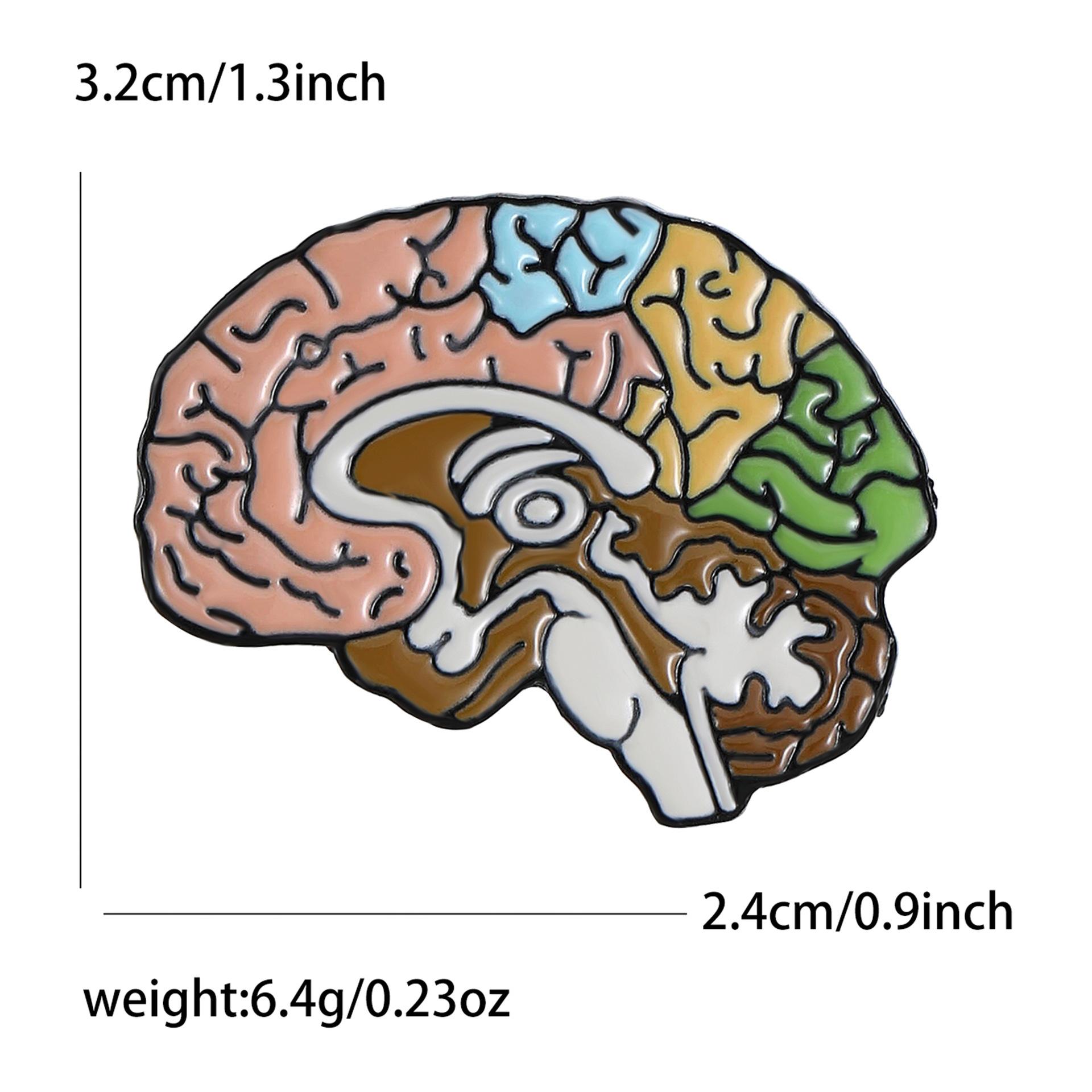 

Персонализированная креативная брошь из сплава с боковым вырезом в виде мозга Персонализированные преувеличенные мужские и женские костюмы, свитера, корсажи, ювелирные булавки