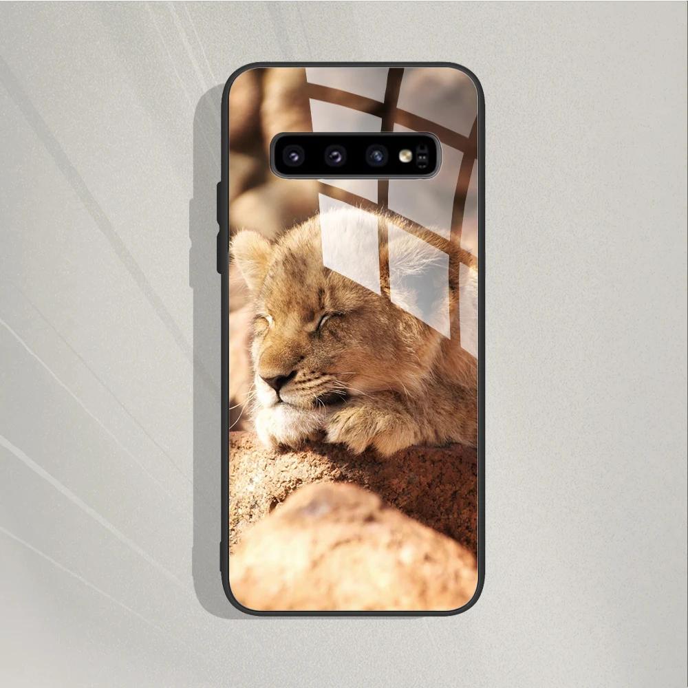 For Samsung Galaxy S10 S 10 Plus S10E Case Shockproof Tempered Glass Case Hard Back Cover Funda For Samsung S10 Case S 10 Bumper