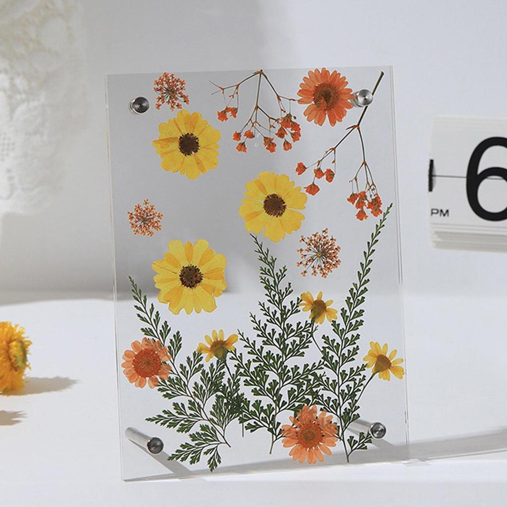 Pressed Flower Frame Acrylic Keepsake Home Decor Dried Flowers Display Photo Frames For Home Living Room Kitchen Bathroom Office