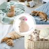 Toy Mice For Cats Cute Cat Toy Plush With Catnips Cat Interactive Toy Flexible Cat Teaser Toy Cat Enrichment Toys For Indoor