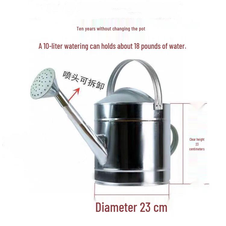 Tin Watering Can: Large Capacity for Vegetables & Flowers, with Spray Nozzle