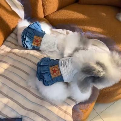 Pet Dog Denim Mesh Skirt: Cotton, Versatile, for Small Breeds