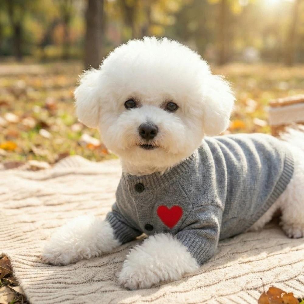 Hautfreundlicher Haustier-Cardigan Romantischer gestrickter Haustier-Mantel Niedliche Frühlings-Katzenkleidung Frühling Herbst