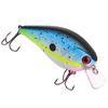 Fishing with 6 Color Options, Floating Topwater Noise-Making Hard, Lifelike Crankbait
