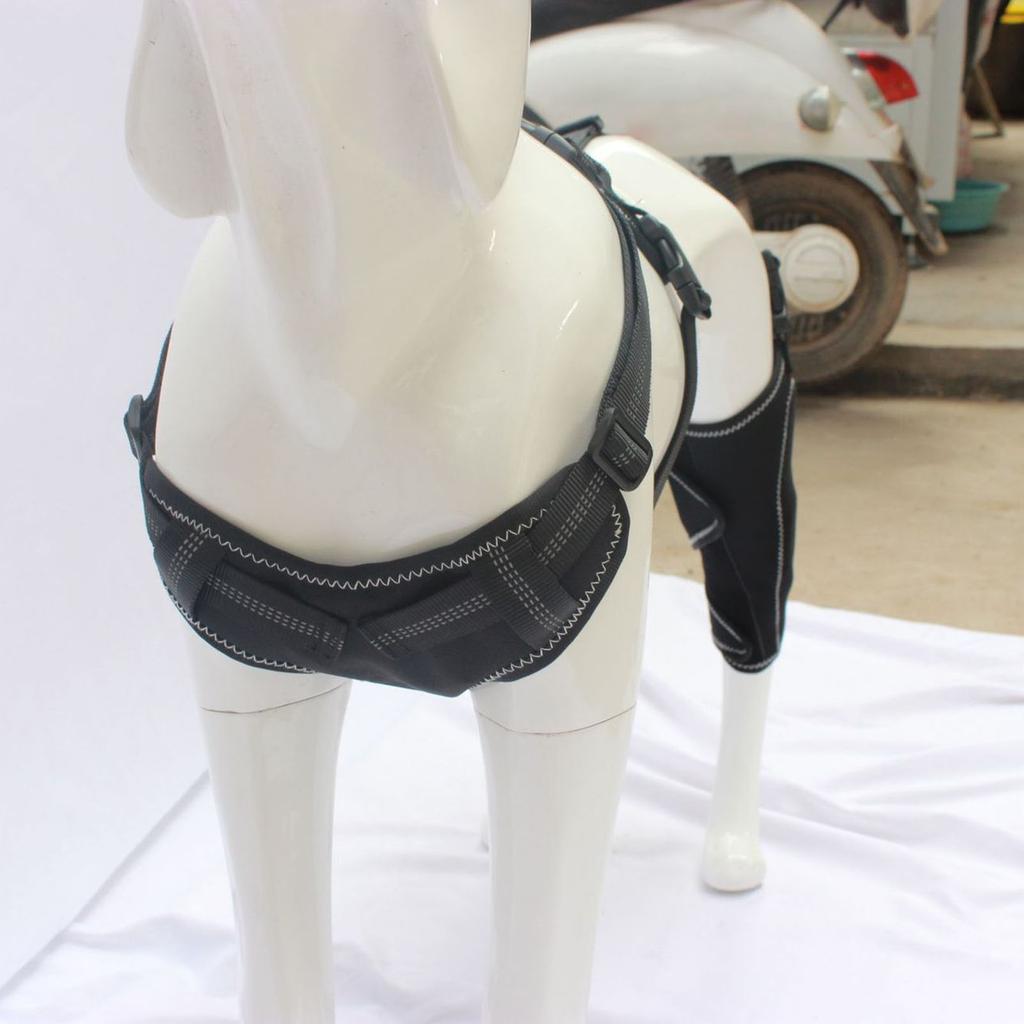 Adjustable Dog Legs Brace Prevents Wounds and Provide Warmth for Recovery Against Licking Assists In Healing Brace