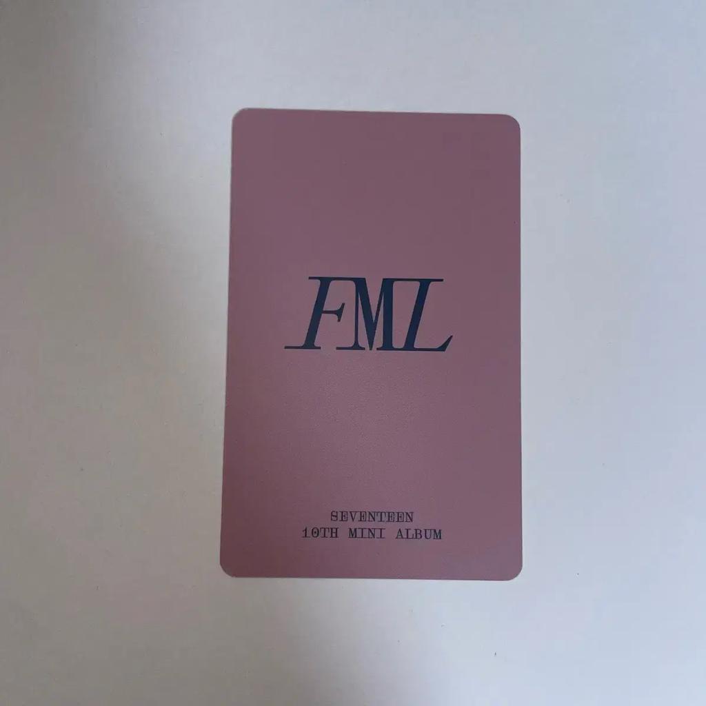 SEVENTEEN S.K.U.S. FML JAPAN Poka Gebraucht