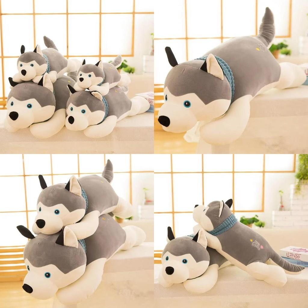 Cute Gray Lying Posture Husky Plush Doll Toy For Cuddly Play And Collection