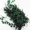 Realistic Artificial Plant Vine Model Set Creative Homes Decors Craft For Shelf Desktop Display Scenery Landscape