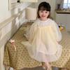 Kinder Kleidung Frühling Sommer Langarm Dünne Spitze Tüll Kleid Koreanischen Stil Mädchen Prinzessin Mode Süße Fee Mesh Kleider