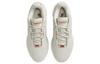 Nike LeBron 21 EP "Akoya" FV2346-001