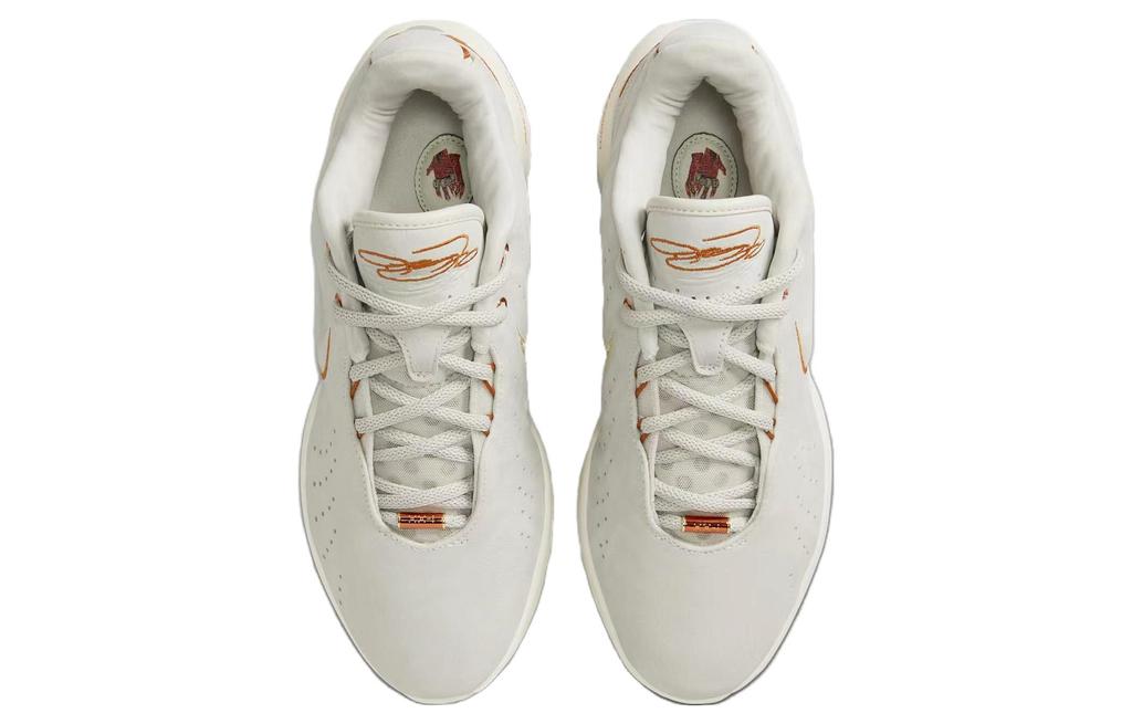 Nike LeBron 21 EP "Akoya" FV2346-001
