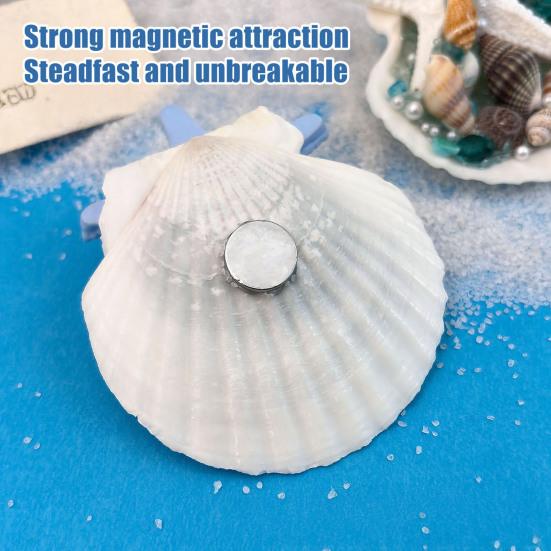 Starfish Conch Shell Refrigerator Magnet 3D Ocean Beach Fridge Magnet Home Kitchen Office Decoration Summer Birthday Gift