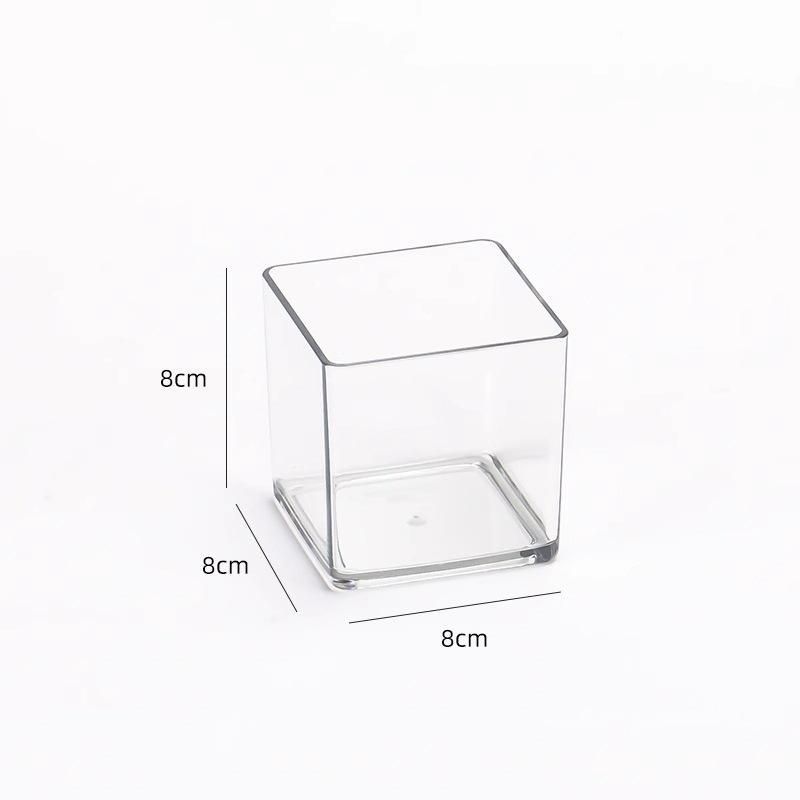Thick Acrylic Square Vase & Fish Tank for Hydroponic Plants and Flowers