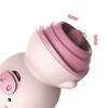 Nippelmassagegerät Klitorisstimulator Niedlicher Schweinezungenleckvibrator Weiblicher Masturbator 6 Modi