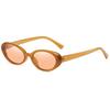 Retro Oval Sunglasses for Women Men 90s Vintage Small Oval Shades Fashion Trendy UV Protection