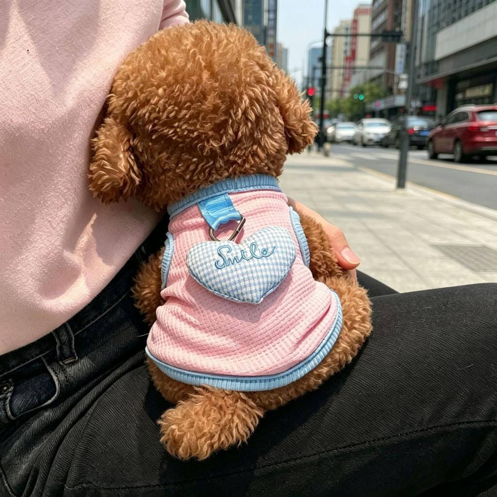 Cat dog clothes spring and summer pet British short blue cat anti-hair loss breathable sun protection tractable teddy bear vest