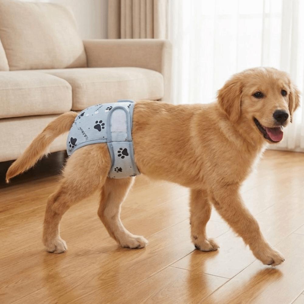 Washable Female Dog Diapers Breathable Dog Underwear Pet Sanitary Pants Dog in Heat