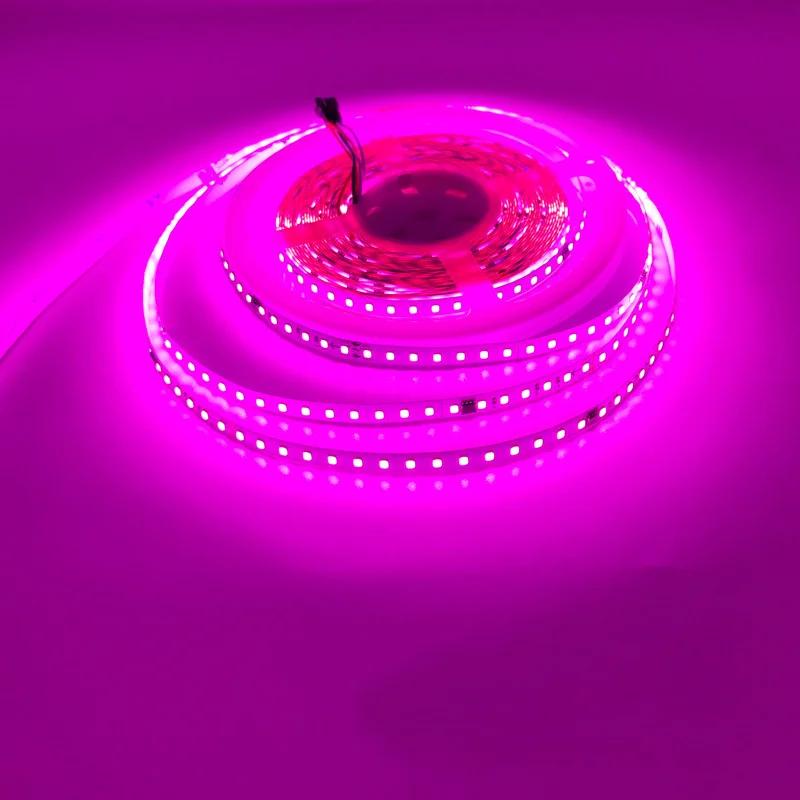 

5M 10M 20M Світлодіодна стрічка з ефектом проточної води DC24 WS2811 SMD2835 Ефект кінських перегонів Піксельна Адресна Гнучка Лінійна Лампа Комплект 1m синій