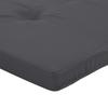 Lounge Chair Cushions 2 Pcs Anthracite Oxford Fabric