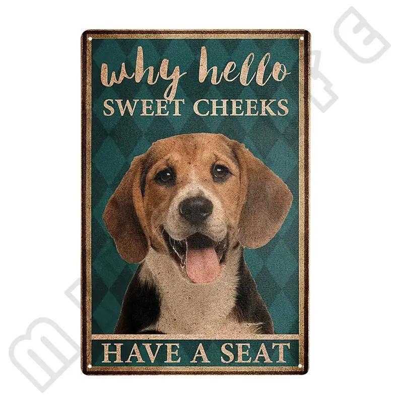 Funny Beagle Dog Metal Tin Sign Plate Retro Art for Bathroom Kitchen Restaurant Dessert Shop Pet Shop Farmhouse Home Room Decor