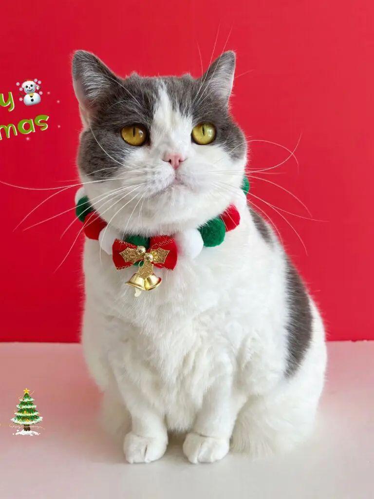 2-Piece Set, New Pet Christmas Bow Collar, Cat Scarf Christmas Bell, Cute Dog Decoration, Suitable for Cats, Dogs and Little Rab