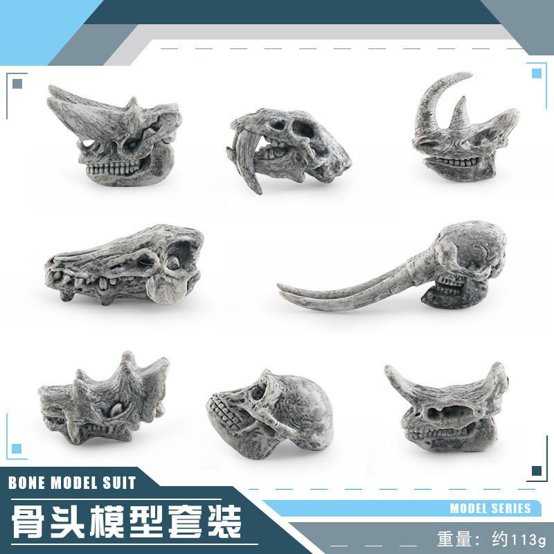 Realistic Jurassic Dinosaur Skull Model Toy For Kids Educational Archaeology Fun