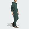 Adidas Originals Graphics Joggers With Brand Logo Embroidery Mid-Rise Drawstring Knit Sports Pants Men Joggers Mineral-Green JD3244