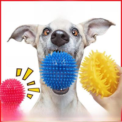 Großes, klingendes Kauspielzeug für Hunde – Beißdornball