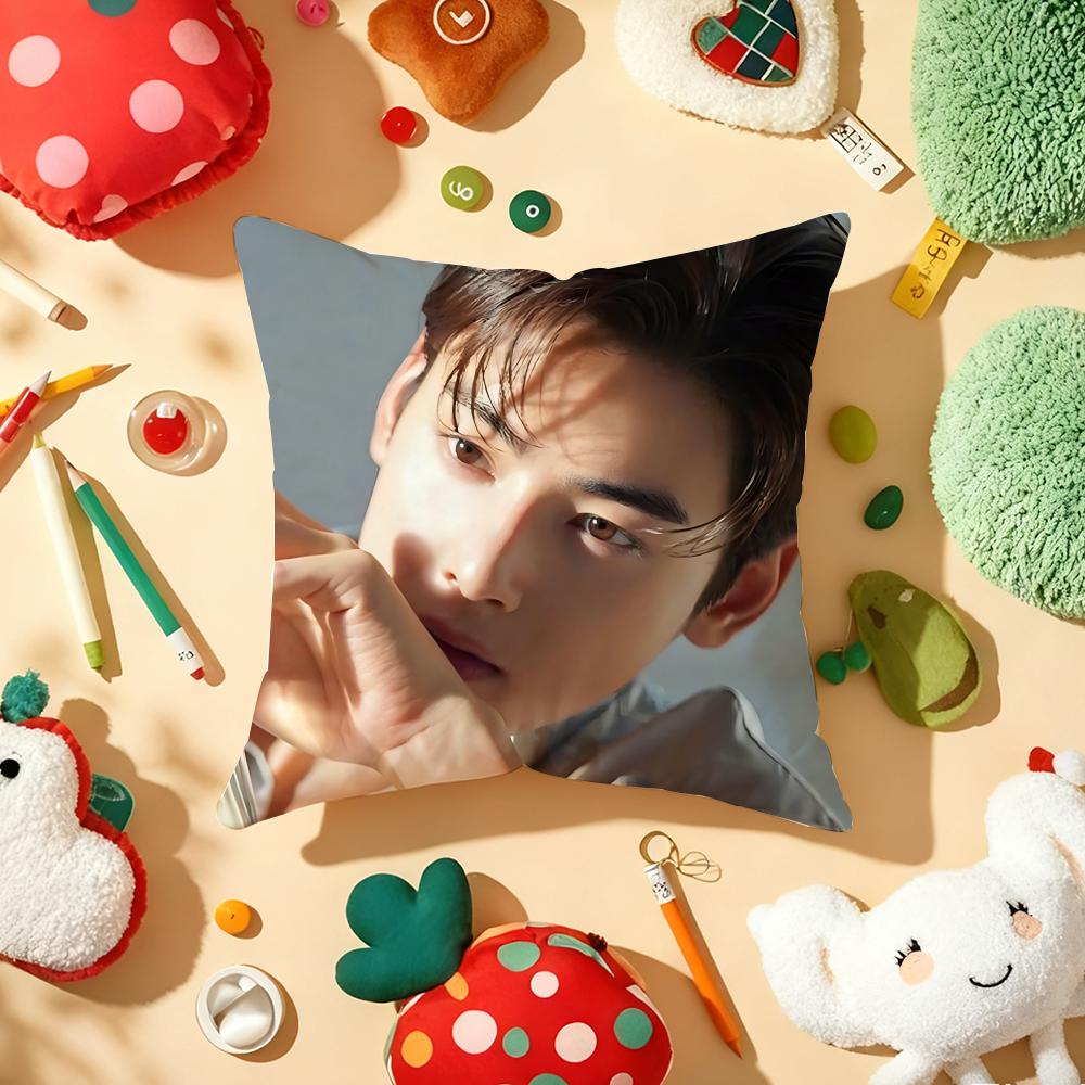 Kpop Singer Cha EEun WWoo Cushion Cover Plush Fabric Soft DoubleSided Printed Sofa Warm Winter Home Gift Pillow Cover
