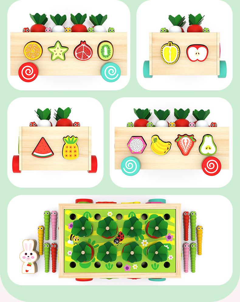 Educational Orchard Farm Blocks: Insect Matching & Radish Pulling Toys for Kids