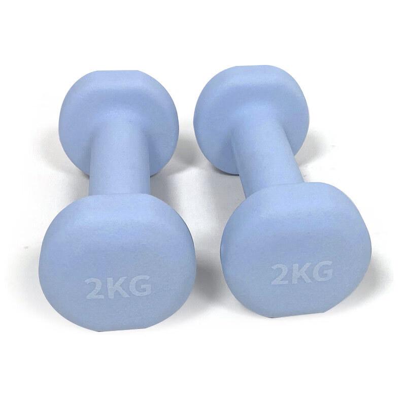 TLXT Dipped Dumbbell Set