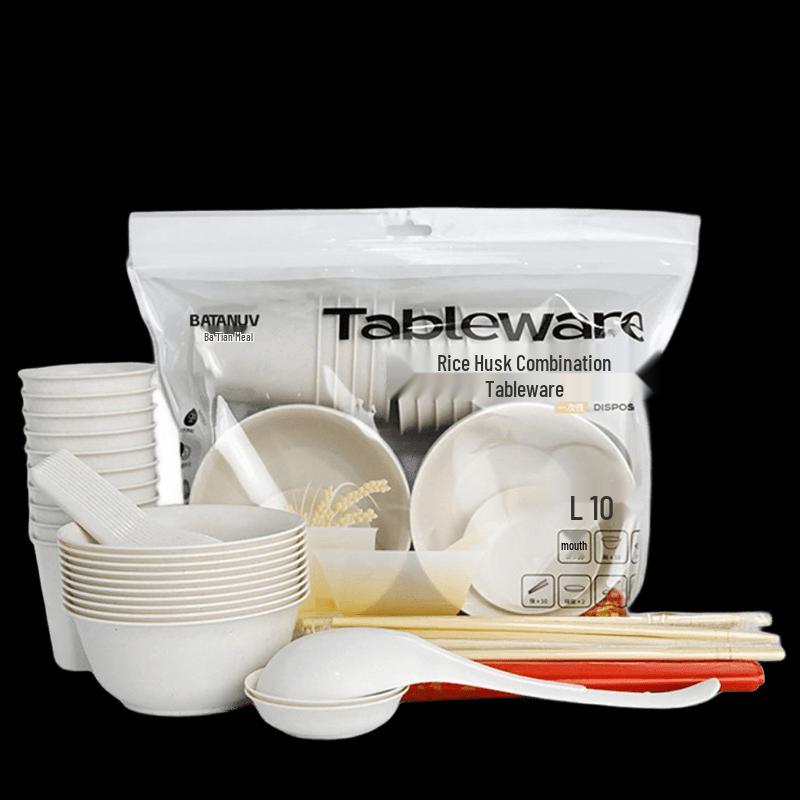BATANUV Disposable Tableware Set for 10