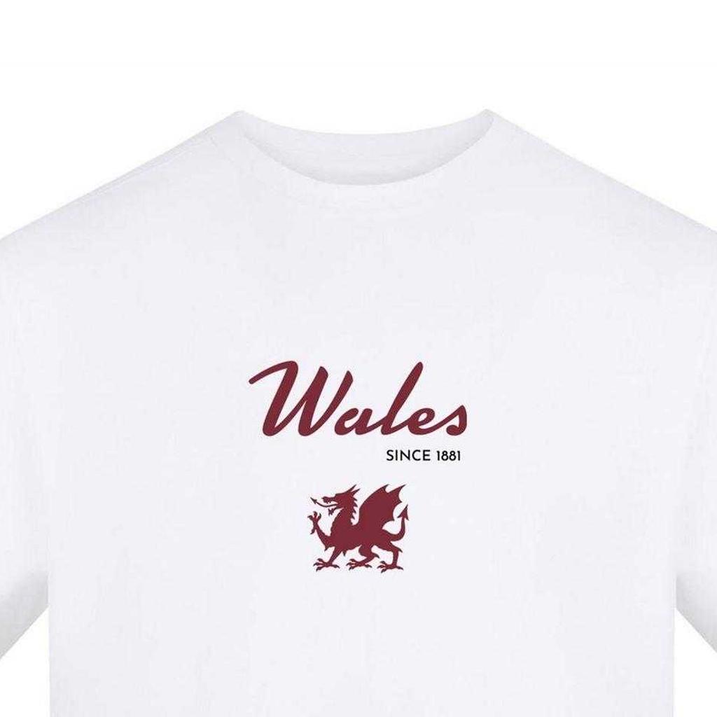 AWD Unisex Adult Wales Since 1881 T-Shirt