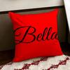 BBelleS Brand Cushion Cover Reversible Soft Durable Pillow Cover Home  Car MultiScene Use for Daily Comfort