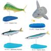 Calorata Salzwasserfische 3D Enzyklopädie Arten Beinhaltet Ständer und Realistische Figuren Geburtstagsgeschenk Hygienevorschrift Fisch Geschenk (15 / Anweisungen)