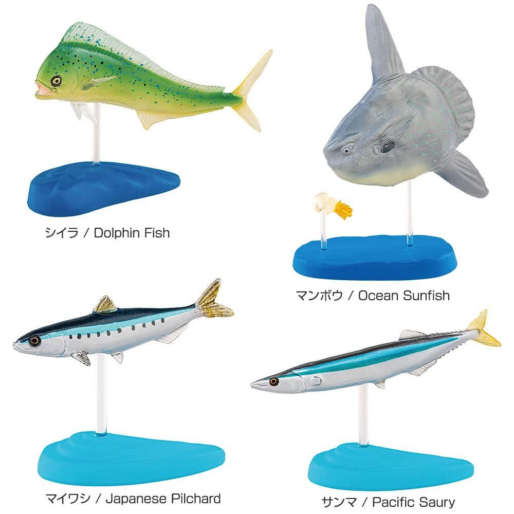 Calorata Saltwater Fish Figure Deluxe Set (15 Species  Boxed  Instruction Manual  Food Sanitation Law Compliant) 3D Illustrated Guide, Realistic Fish