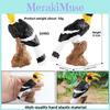 Wildlife Animal Model Solid Plastic Parrot And Hornbill Figures For Kids Gift