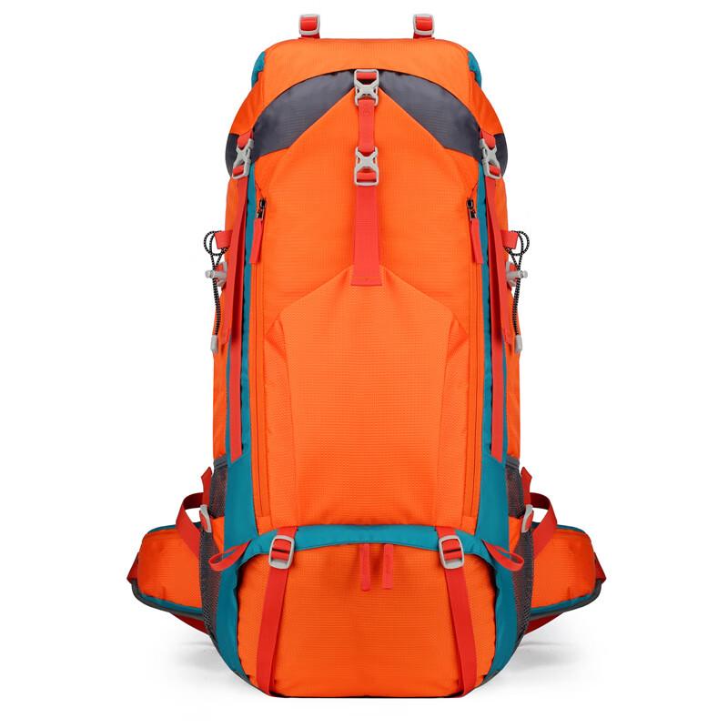 Lison Large Capacity Hiking Backpack