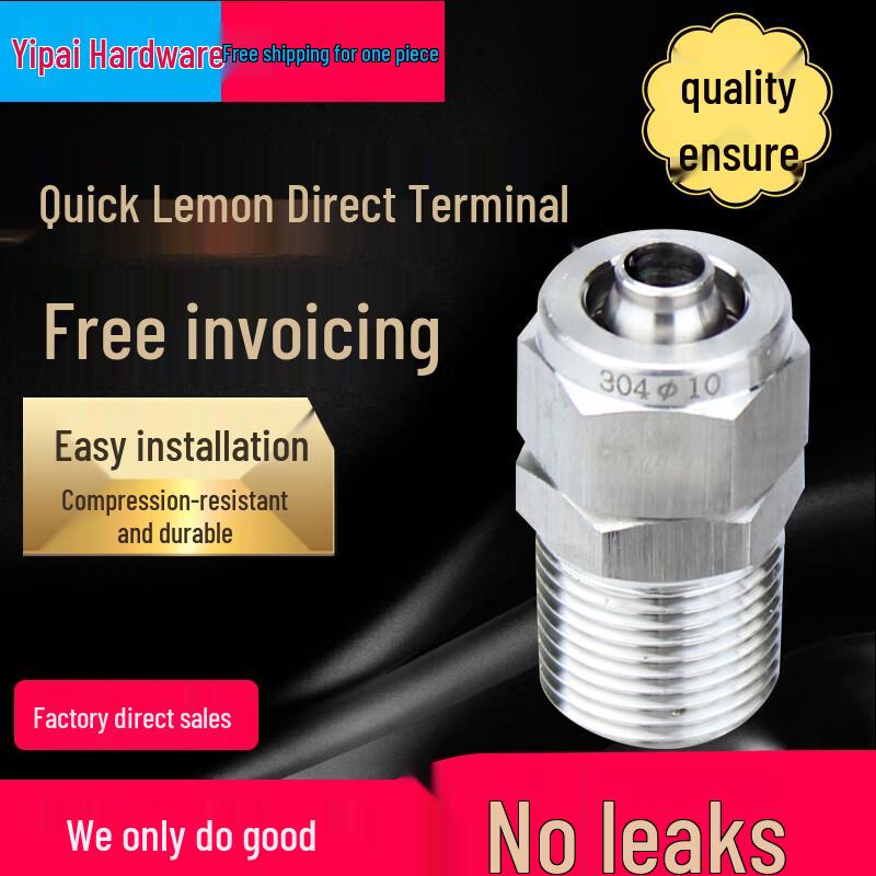 Chiweng 304 SS Quick Connect Air Pipe Straight Fitting
