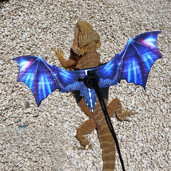 Lizard Leash Anti-Bite Wings Fleksibel Komfortabel skjeggete Drage Sele Kjæledyrsutstyr