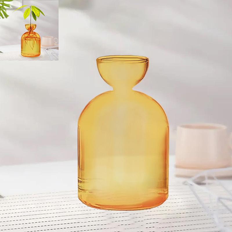 Colorful Transparent Avocado Hydroponic Vase Glass Avocado Seed Starter Vase Plant Seed Growing Kit Gardening Lovers Home Decor