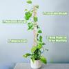 Plant Trellis Supporting Stick Plastic Moss Rod Indoor Plant Pot Stand Green Dill Vine Garden Supporting Accessories