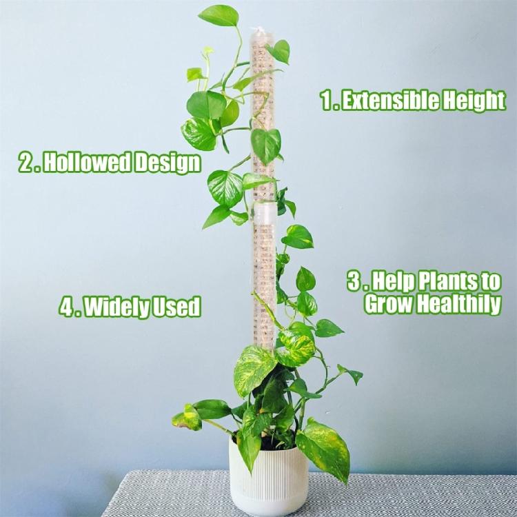 Plant Trellis Supporting Stick Plastic Moss Rod Indoor Plant Pot Stand Green Dill Vine Garden Supporting Accessories