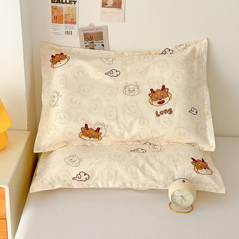 Kids  Fantasy Dragon Pillow & Pillowcase Set