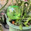 500ml Automatic Watering Ball Plastic Water Penetrating Device  Succulent Plants