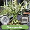 Spiral Ikebana Stem Holder Sturdy Clear Flower Arrangement Holder DIY Floral Art Accessory Table Centerpiece for Party Wedding