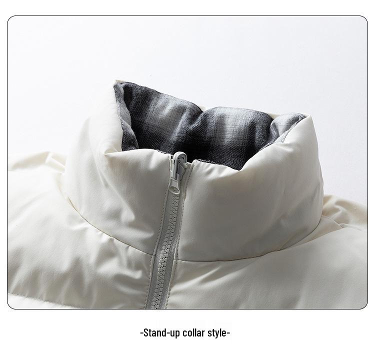 2025 Men's Water-Repellent Winter Down Jacket, Warm Stand Collar, Double-Sided Plaid Puffer