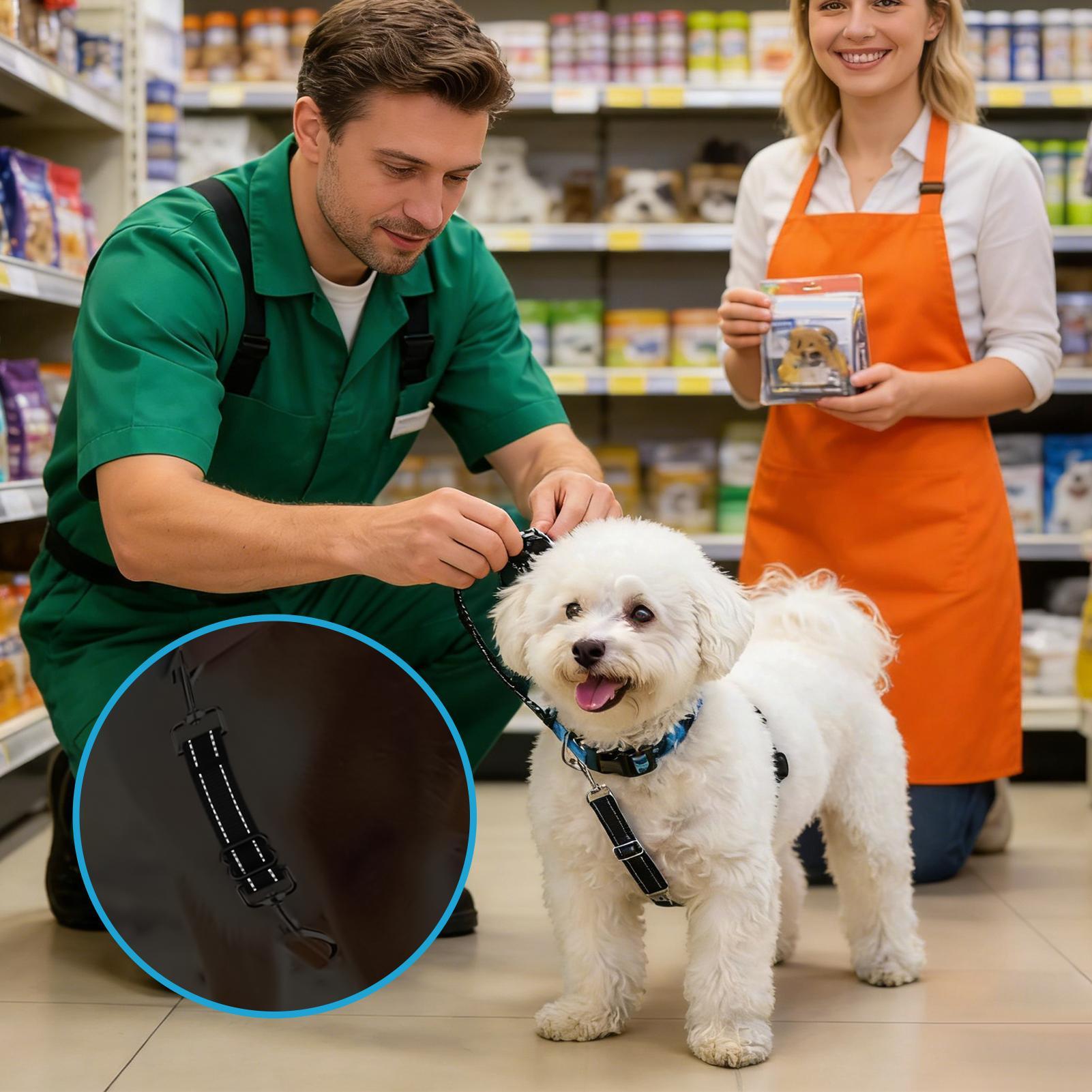 Зажим для безопасности ошейника собаки Зажимы безопасности для домашних животных Регулируемые зажимы Двусторонние зажимы для поводка для дрессировки собак Для улицы Ежедневных поездок Прогулок China Mainland