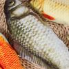 Realistisches Katzenminze-Fisch-Stofftier 1 Stück Weich Kaubar Zahnpflege Haustierspielzeug für Katzen Langeweile lindern Perfekt für Haustiergeschenke