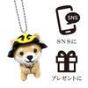 [LamPlanning] [Series-10] Traveling Mameshiba Keychain Mascot Ball Chain Bag Charm Cute Fluffy Dog Shiba Inu Mameshiba (Mori Motonari)